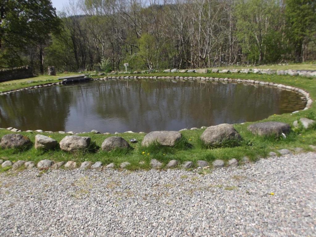 Cosy Ground Floor Disabled Friendly Room In Farm House Llandderfel Екстер'єр фото