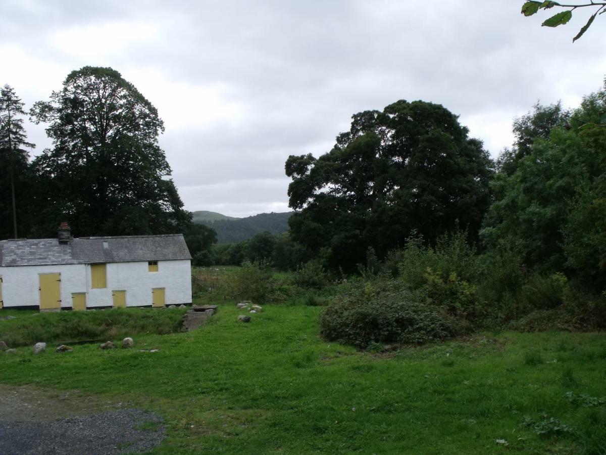 Cosy Ground Floor Disabled Friendly Room In Farm House Llandderfel Екстер'єр фото